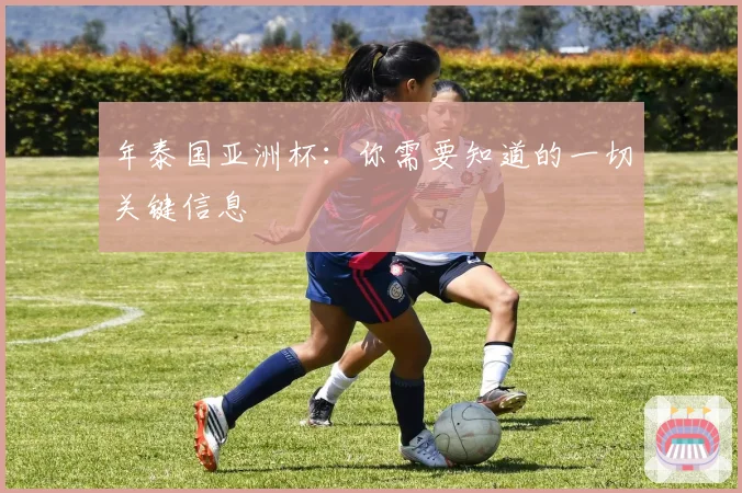 年泰国亚洲杯：你需要知道的一切关键信息