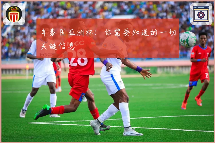 年泰国亚洲杯：你需要知道的一切关键信息