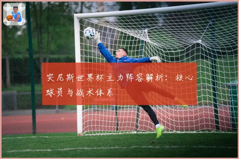 突尼斯世界杯主力阵容解析：核心球员与战术体系