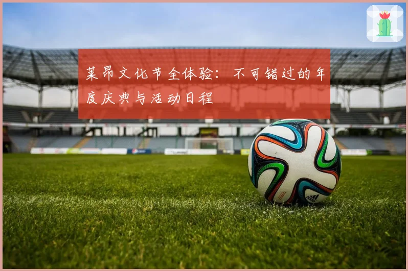 莱昂文化节全体验：不可错过的年度庆典与活动日程