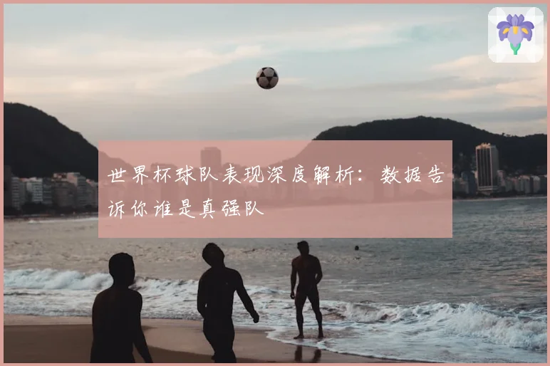 世界杯球队表现深度解析：数据告诉你谁是真强队