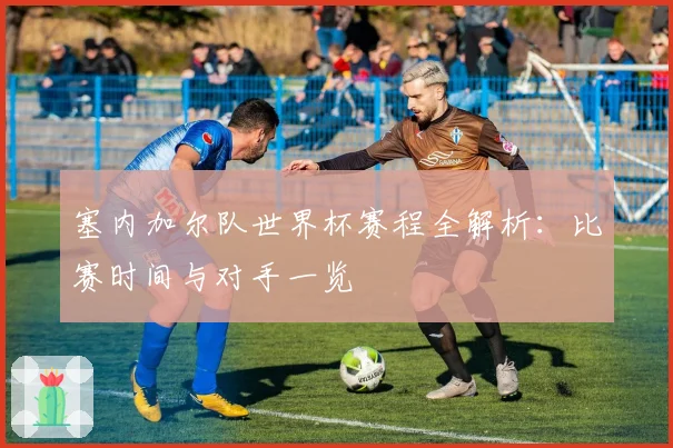 塞内加尔队世界杯赛程全解析：比赛时间与对手一览