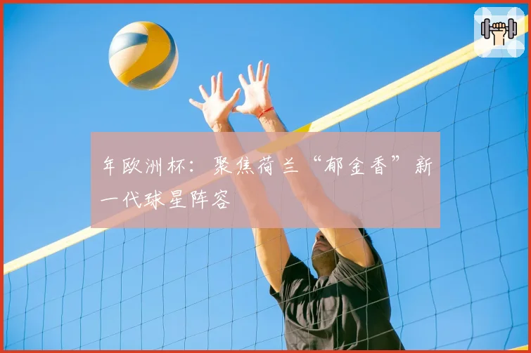 年欧洲杯：聚焦荷兰“郁金香”新一代球星阵容